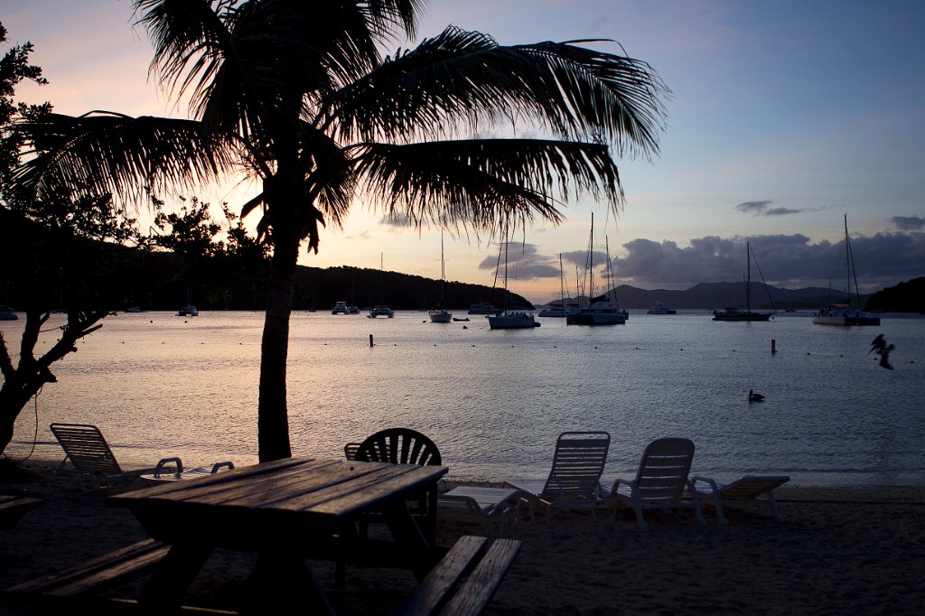 BVI 2010 for Rob Z -6067.jpg